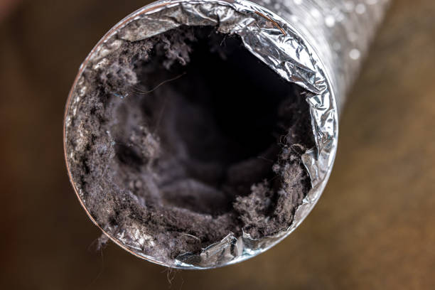 Best Local Air Duct Cleaning Services  in Westworth Village, TX